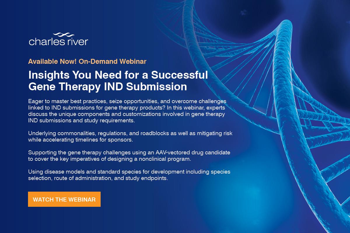 Insights Your Need for a Successful Gene Therapy IND Submission
